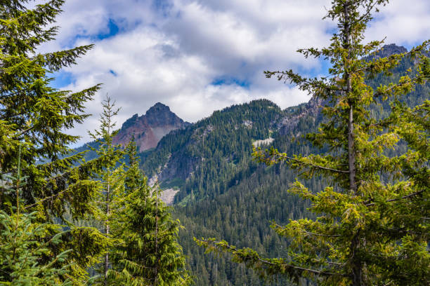 istock Mount Rainier National Park 2020 #21 1272135197