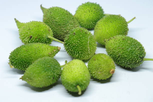 istock Fresh green colorful spiny gourd or teasel gourd vegetables on white background 1272135812