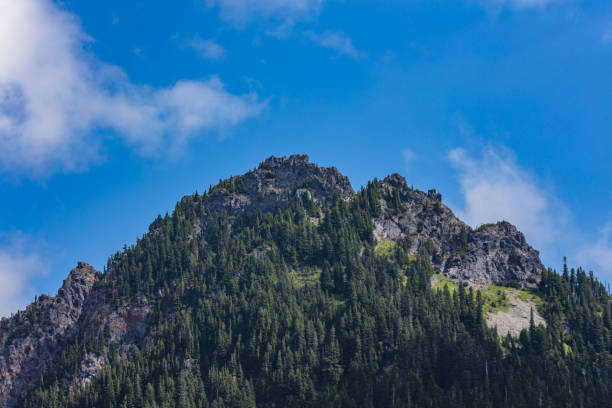 istock Mount Rainier National Park 2020 #18 1272137128