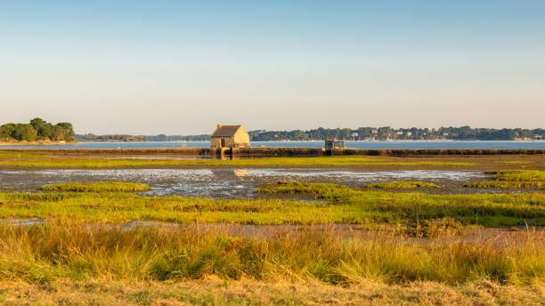 istock Arz island in the Morbihan gulf 1272138703