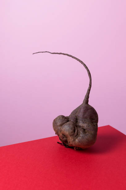 Trendy ugly vegetables. Organic food. Abnormal deformed sugar beet root on a red-pink background with copy space Trendy ugly vegetables. Organic food. Abnormal deformed sugar beet root on a red-pink background with copy space. ugly soup stock pictures, royalty-free photos & images