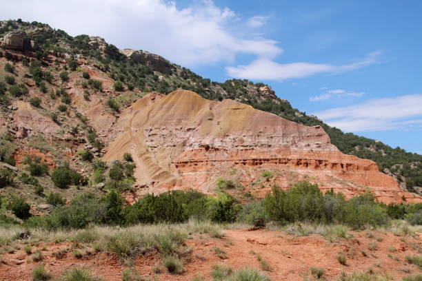 istock Palo Duro Canyon - Texas 1272139969