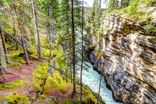 istock Athabasca Falls in the Canadian Rocky Mountains 1272142530