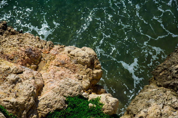 istock Mediterranean Sea in Catalonia 1272142585