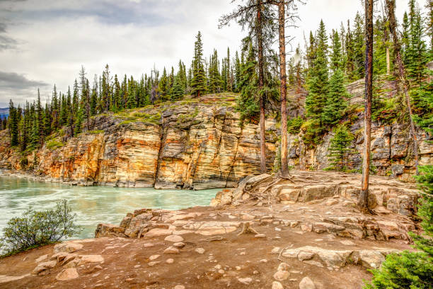 istock Athabasca Falls in the Canadian Rocky Mountains 1272142597