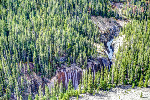 istock The Athabasca River in Glacier National Park 1272143186