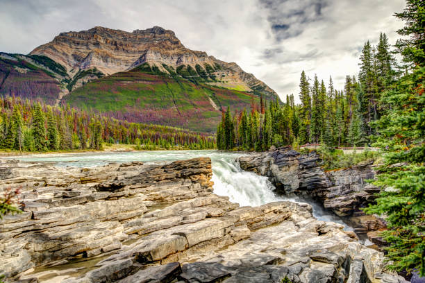 Athabasca Falls in the Canadian Rocky Mountains