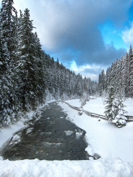 istock Mountain river in the forest. Carpathians. Ukraine. Winter. 1272143756