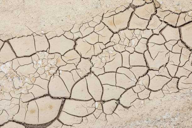 istock dried soil in the death valley 1272143916