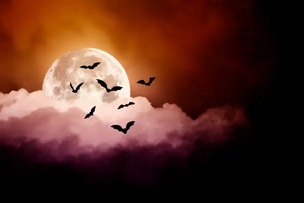 Photo of Spooky Halloween Sky