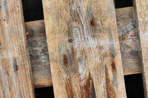istock Very old wooden crates with some cracks in a close up view 1272146870
