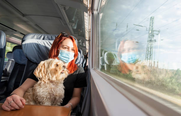 Young woman with face mask and dog traveling by train.Train travel during pandemic Young redhead woman and dog traveling by train, during pandemic. Millennial girl with a medical mask on a german intercity train, at business class. intercity train photos stock pictures, royalty-free photos & images