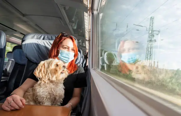 Young redhead woman and dog traveling by train, during pandemic. Millennial girl with a medical mask on a german intercity train, at business class.