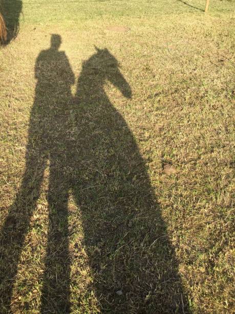istock Me and my pony shadows 1272147866