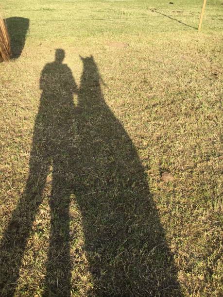 istock Me and my pony shadows 1272147872