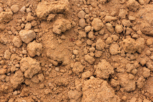 istock Sand texture background, top view, close up. Copy space. 1272150353