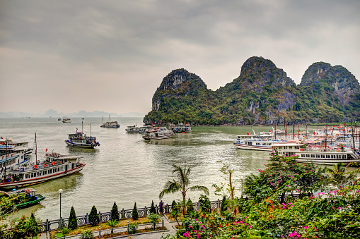 Halong Bay, Vietnam - December 31, 2019: Tour boats in a popular area of Halong Bay awaiting their passengers after touring the cave systems of Sung Sot (Surprise) Cave