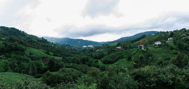 istock Plateau at black sea in turkey 1272154349