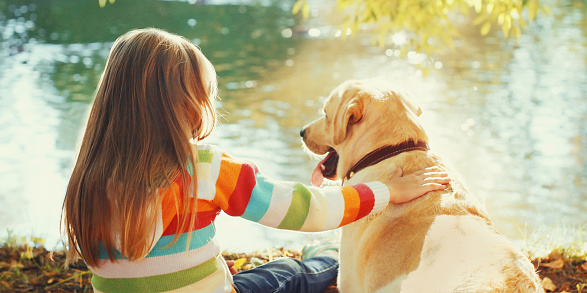Little girl child with Labrador retriever dog sitting in sunny summer park near river