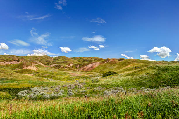 las praderas ondulantes en las tierras de alberta badlands fuera de dorothy alberta - dorothy fotografías e imágenes de stock