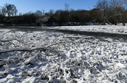 Des Plaines River freezes in Chicago.