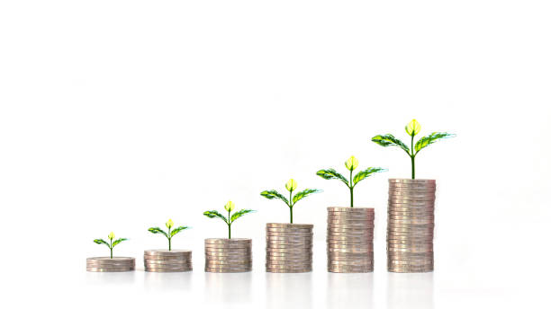 istock Tree growing on coin pile on white background money saving concept business growth. 1272175616