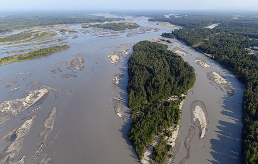 Glacial, braided type Susitna River displays muddy colors due to a silt carried from glaciers melting in the Alaska Range and the Talkeetna Mountains. A braided river is a network of river channels separated by small, often temporary, islands. Talkeetna town is in the upper right part of the picture. Upper part of the photograph also shows confluence of three mighty rivers: Chulitna, Susitna and Talkeetna Rivers.