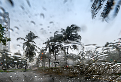 Tropical torrential rain in Miami Beach.
