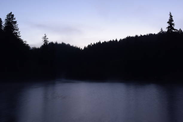istock Silhouetted Forest By Dark Lake 1272177288