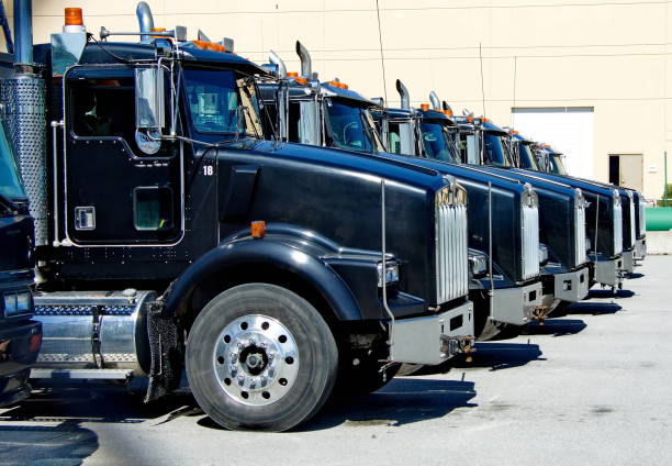 istock Range of Traks  in a Parking Lot 1272177293