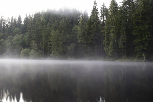 istock Foggy Morning Along The Lake 1272177392