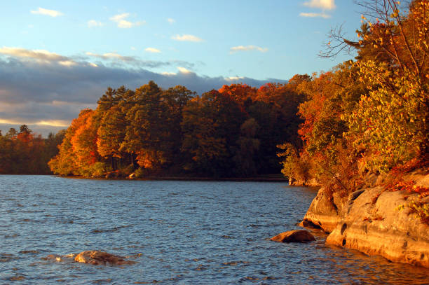 Sunlight on autumn foliage at the lake Autumn leaves along a lakeshore catch the last of the sun’s rays at Laurel Lake in Massachusetts lenox massachusetts stock pictures, royalty-free photos & images