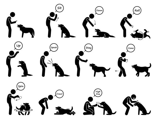 podstawowe polecenia psa i ikony treningu behawioralnego ustawione. - stunt stock illustrations