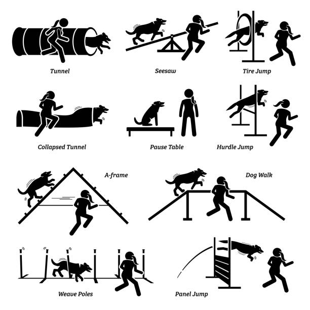 Dog agility competition icons set. Vector illustrations of dog agility obstacles and hurdles course event. dog agility stock illustrations