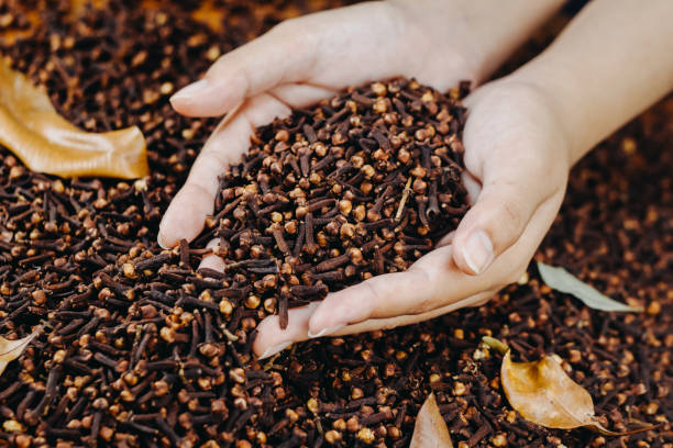 istock cloves on a wooden table 1272191424