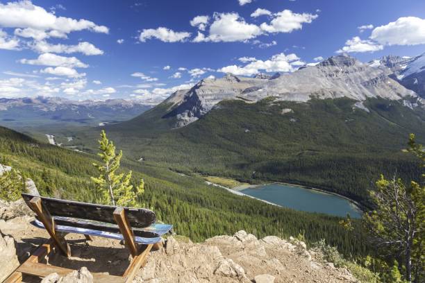 Canadian Rocky Mountains Viewpoint