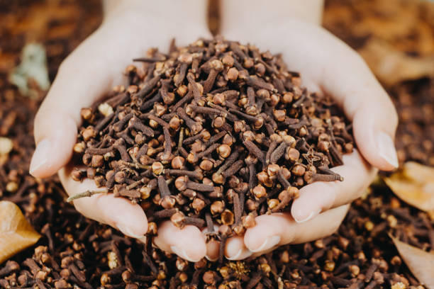 istock cloves on a wooden table 1272192143
