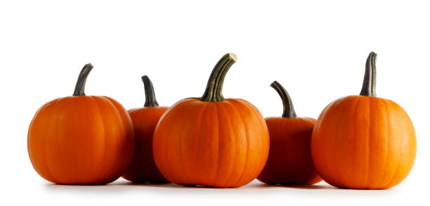 istock Pumpkins in a row isolated on white 1272193804