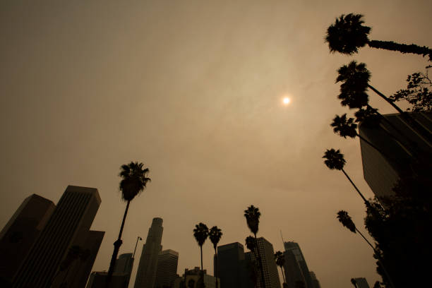 istock Los Angeles Smoke 1272198751