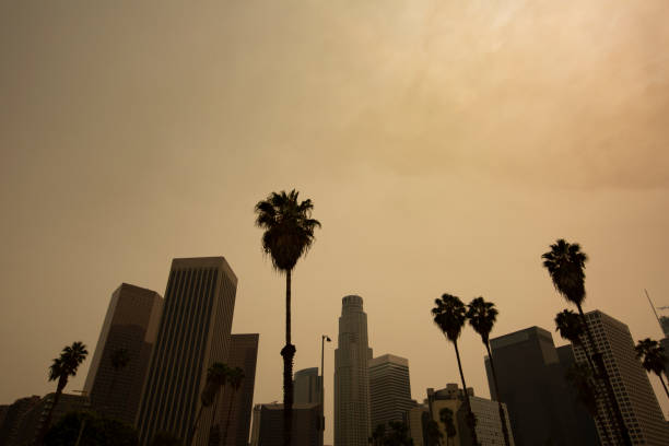 istock Los Angeles Smoke 1272198758