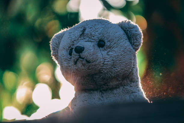 istock Closeup shot of Teddy Bear toy 1272199708