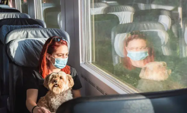 Young redheaded woman with face mask traveling by train, at first-class. Girl and dog travel by german intercity express train. Pandemic safe travel.
