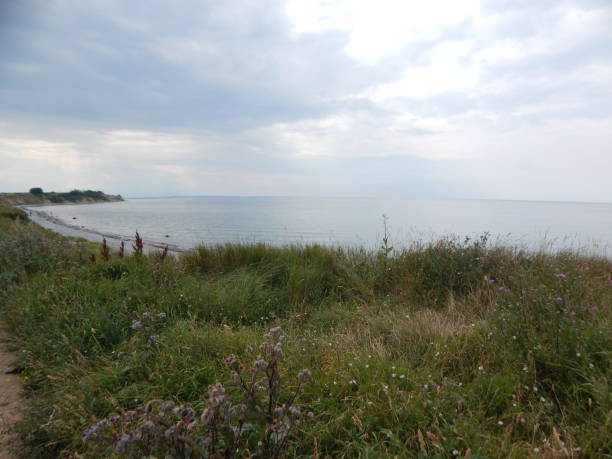 istock Stony Baltic coast near Heiligenhafen / Blank Eck 1272201274