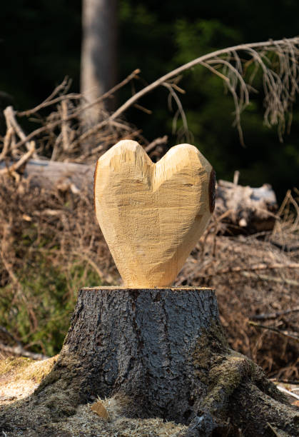 istock Wood heart on tree trunk in nature 1272204359