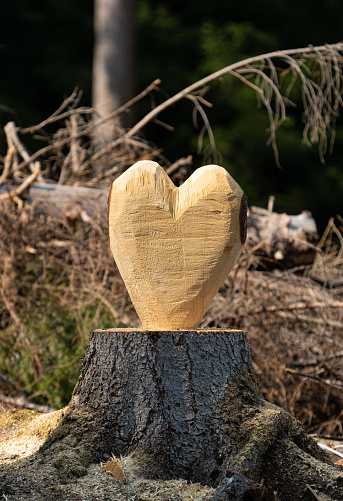 Wood heart on tree trunk in nature