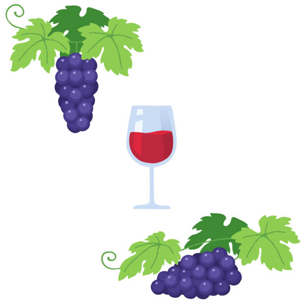 illustrazioni stock, clip art, cartoni animati e icone di tendenza di illustrazione di un bicchiere di vino rosso e due grappoli d'uva - wine grape harvesting crop