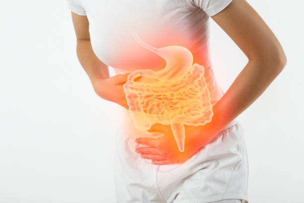 胃に触れる女性 - 人間の消化器官 ストックフォトと画像