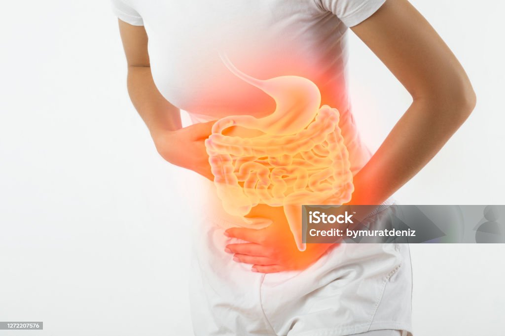 Woman touching stomach Intestine Stock Photo