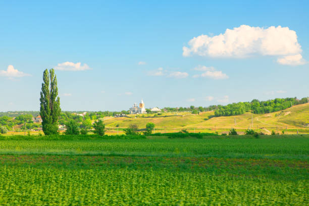 Church and cemetery on the hill . Rustic scenery with agricultural field