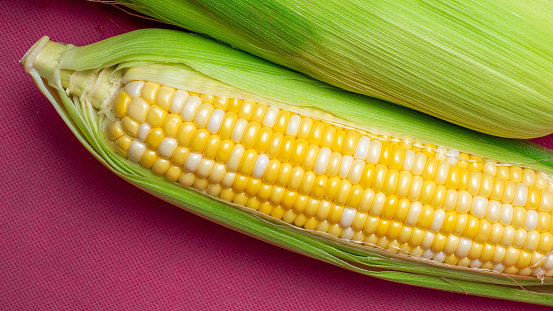 Flat lay studio shot of corn on bright pink background